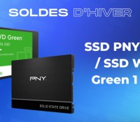 SSD Soldes PNY WDGreen 1 To
