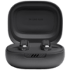 JBL Live Flex