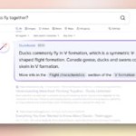 Après Bing, Brave et DuckDuckGo veulent aussi jouer la carte de l’IA sur leurs moteurs de recherche Après Bing, Brave et DuckDuckGo veulent aussi jouer la carte de l’IA sur leurs moteurs de recherche