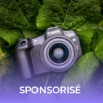Canon EOS R8 : pourquoi ce boitier est un excellent rapport qualité-prix pour se lancer dans la photo pro Canon EOS R8 : pourquoi ce boitier est un excellent rapport qualité-prix pour se lancer dans la photo pro