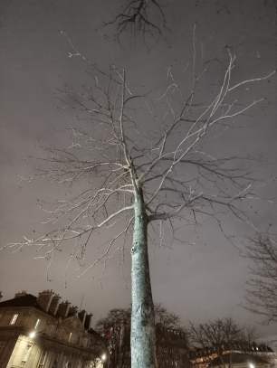 Photo mode nuit du Vivo X90 Pro avec l'appareil photo 13 mm