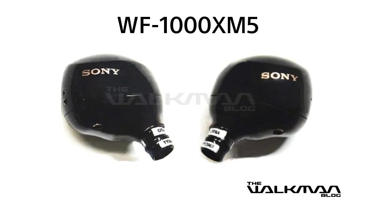 Sony WF-1000XM5-1