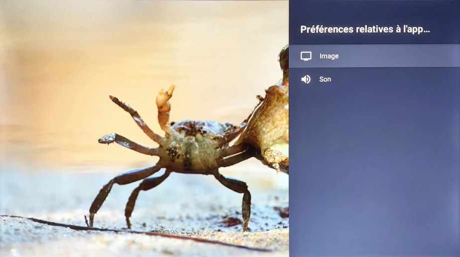 Gérez les options pour l'image ou pour le son.
