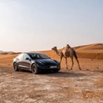 Tesla Model 3 : comment a-t-elle fait pour devenir moins chère que la Renault Mégane électrique… en restant meilleure