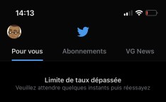 Twitter Limite de taux dépassée