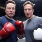 Il y aura bien un combat entre Zuckerberg et Musk, peut-être dès ce mois-ci
