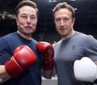 Mark Zuckerberg – Frandroid – insulting-mark-zuckerberg-from-elon-musk2-780×470