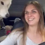 Elle vit dans une Tesla Model Y avec son chien et son chat