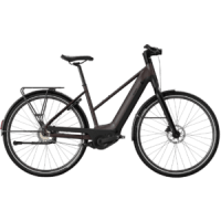 Decathlon LD 920 E