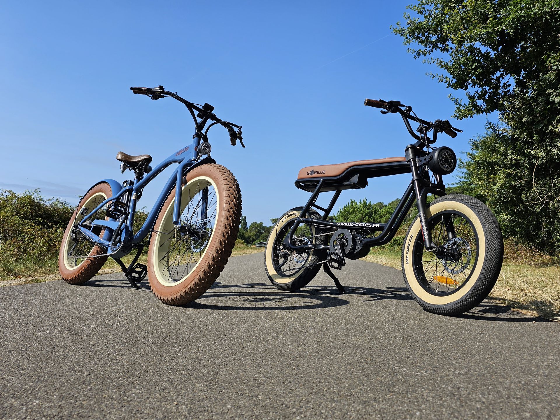 Gorille vélos fat-bike