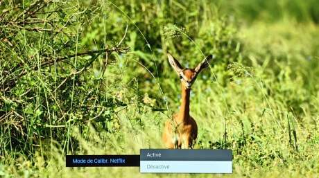 Le mode calibré pour Netflix est disponible