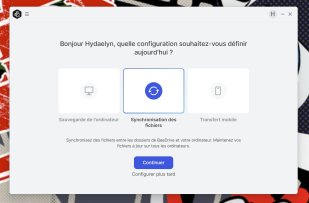 Synology Beedrive logiciel (4)