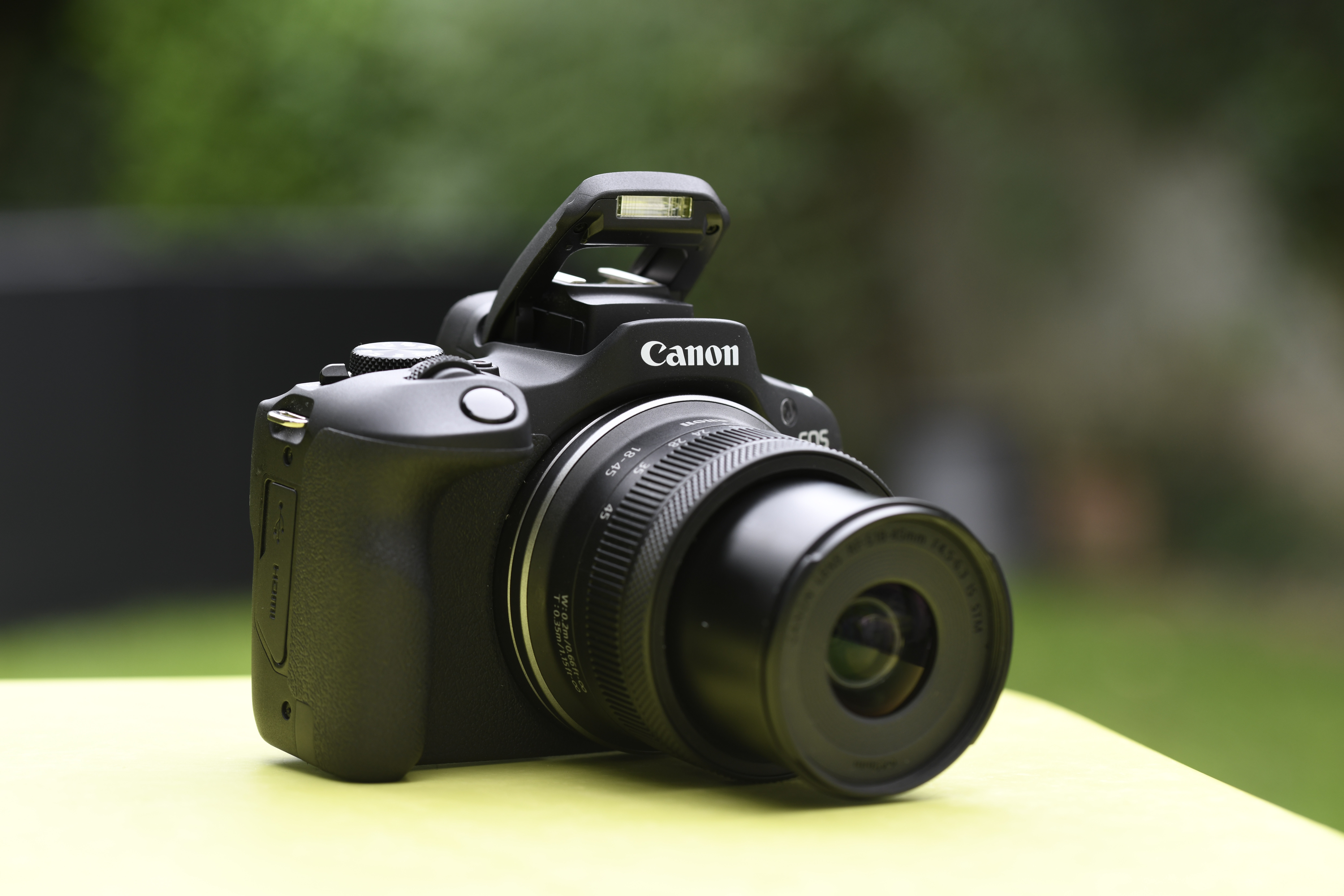 Le capteur APS-C du Canon EOS R100