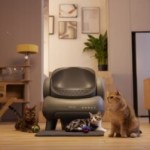 Fini les corvées de nettoyage, voici une litière intelligente pour chats Fini les corvées de nettoyage, voici une litière intelligente pour chats