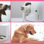 Distributeur de croquettes, litière connectée, GPS pour chat et chien : les meilleurs accessoires pour nos animaux de compagnie