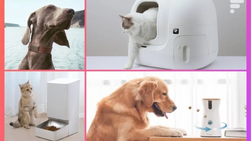 Fontaine à eau pour chat, traceur GPS pour chien… quels accessoires connectés pour nos animaux de compagnie ?