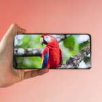 Honor Magic 6 Lite : un bon smartphone pas cher avec une enceinte Bluetooth offerte grâce à cette offre Boulanger Honor Magic 6 Lite : un bon smartphone pas cher avec une enceinte Bluetooth offerte grâce à cette offre Boulanger