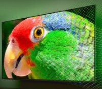 Philips TV Ambilight MicroLED