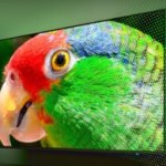 Ce TV 4K Philips de 55 pouces (Mini LED + Ambilight) est à un super prix Ce TV 4K Philips de 55 pouces (Mini LED + Ambilight) est à un super prix