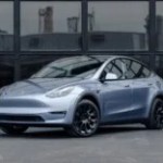 Tesla MODEL y WRAP
