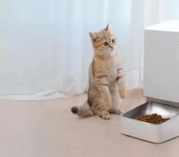 xiaomi-smart-pet-food-feeder