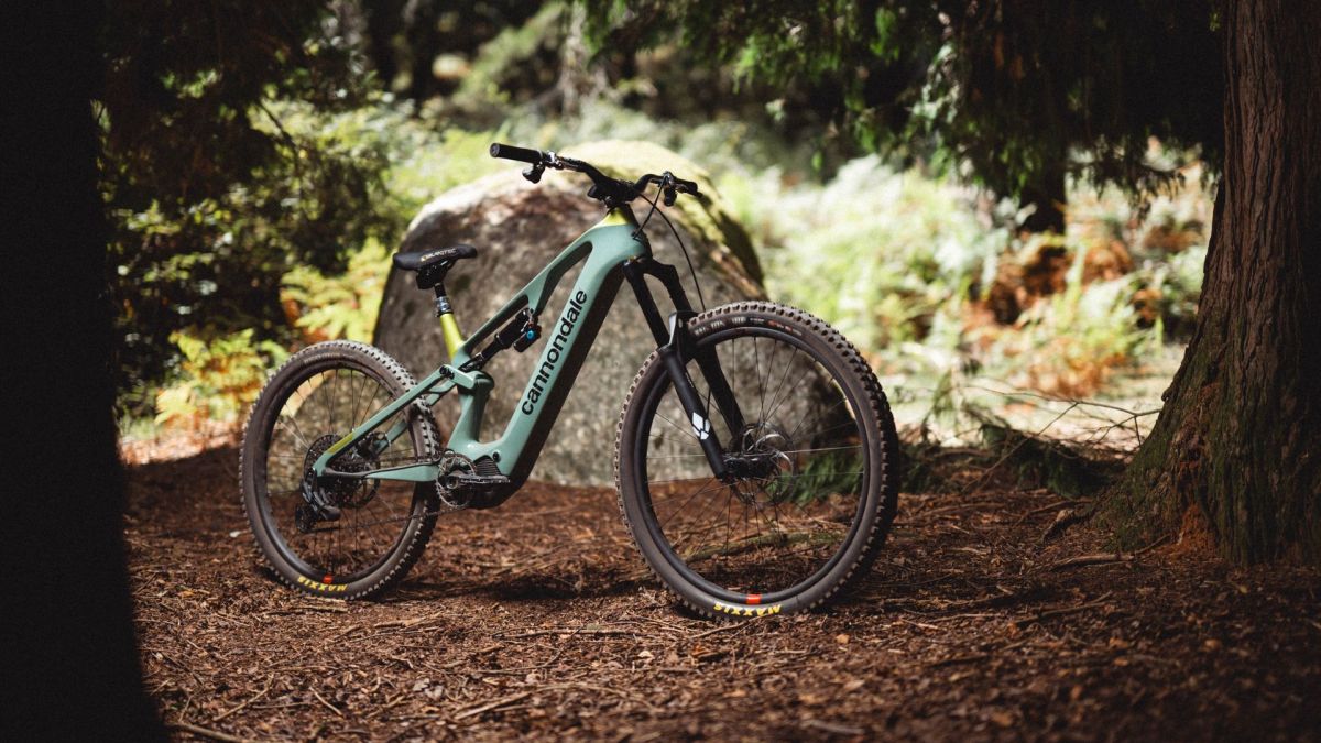 Cannondale Moterra SL 1 VTT électrique