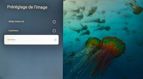 Plusieurs modes Dolby Vision sont proposés.