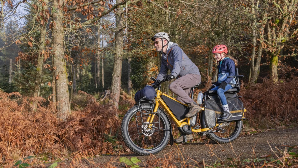 Tern Orox Adventure longtail (7)-min