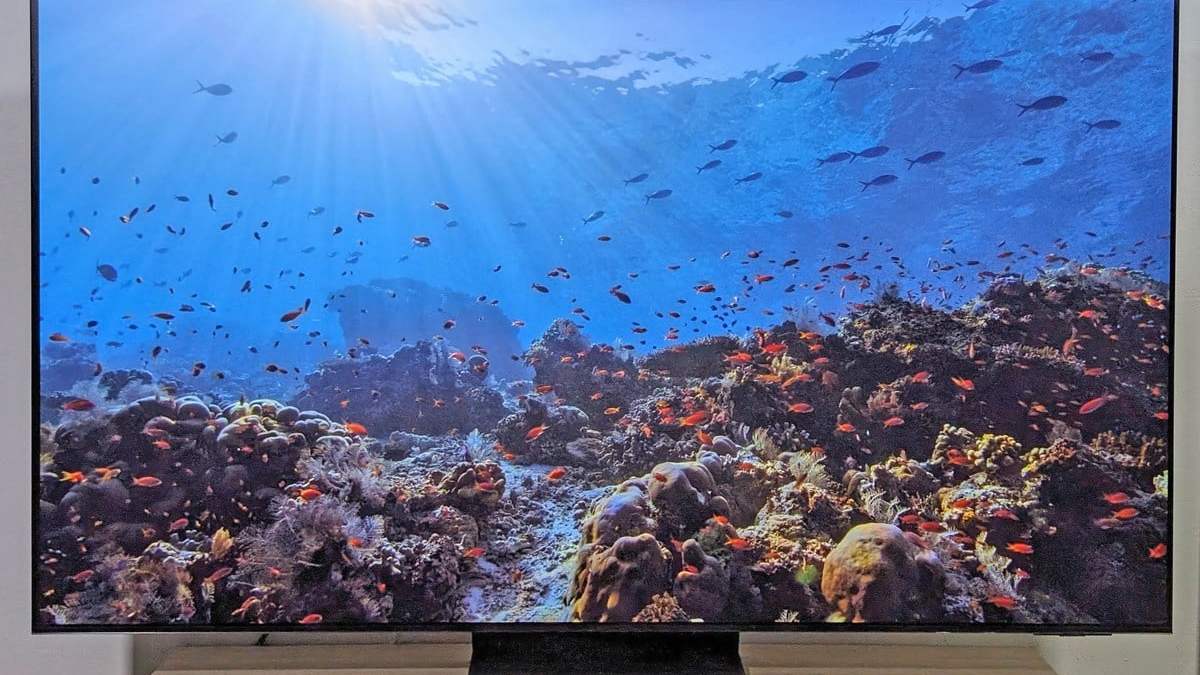 TV Samsung, Samsung TQ65S95D, Meilleure TV, Meilleur TV