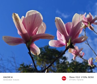Xiaomi 14  - Frandroid - IMG_20240303_144603