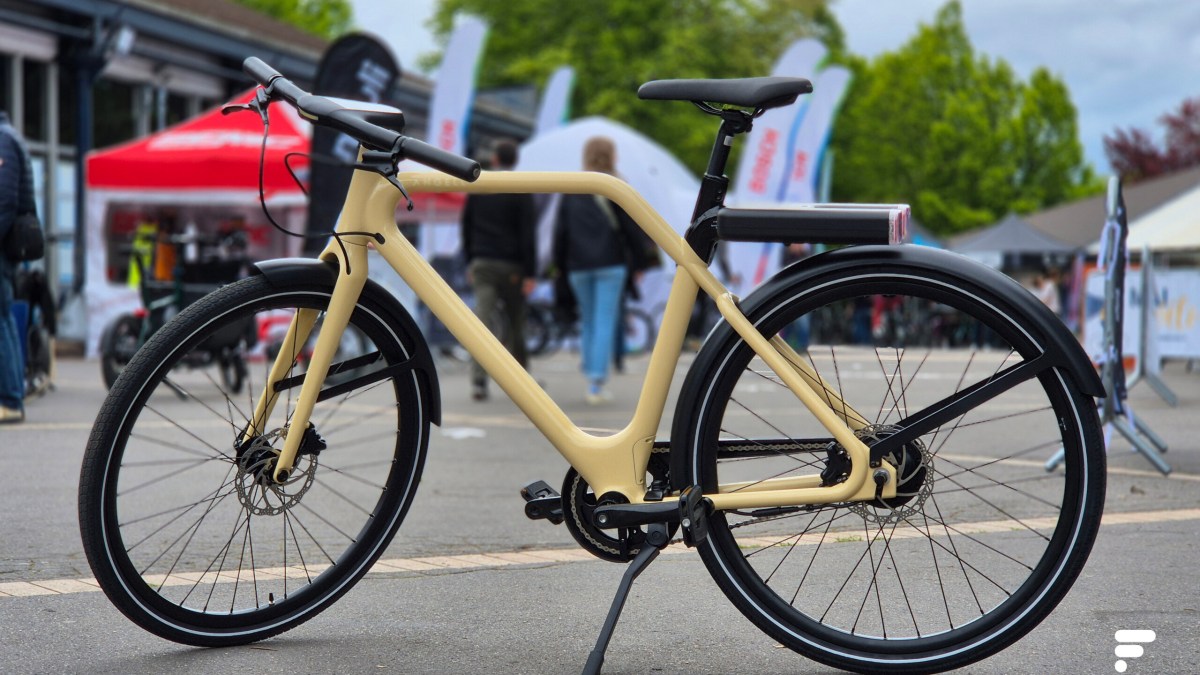 Angell Rapide+