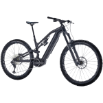 Decathlon Rockrider E-Feel 900S Team Edition