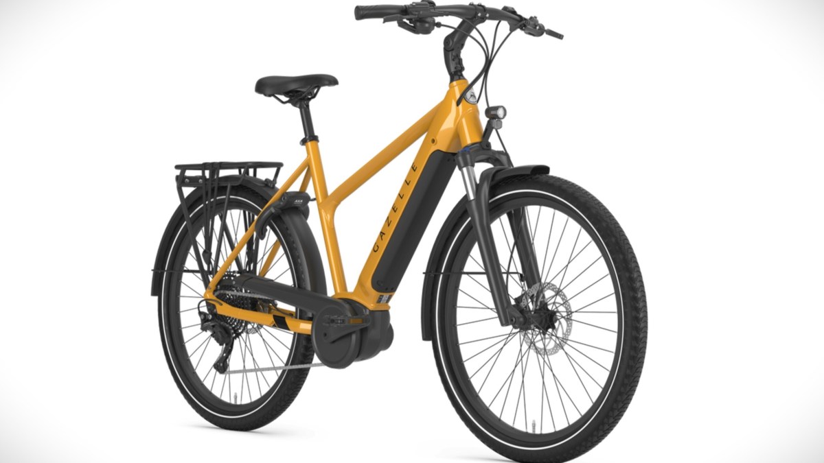 Gazelle Medeo T10 HMB 2024