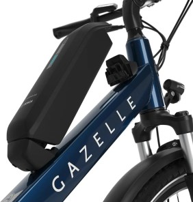 Gazelle Medeo T9 HMB 2024 batterie