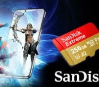micro SD Sandisk 256 Go A2