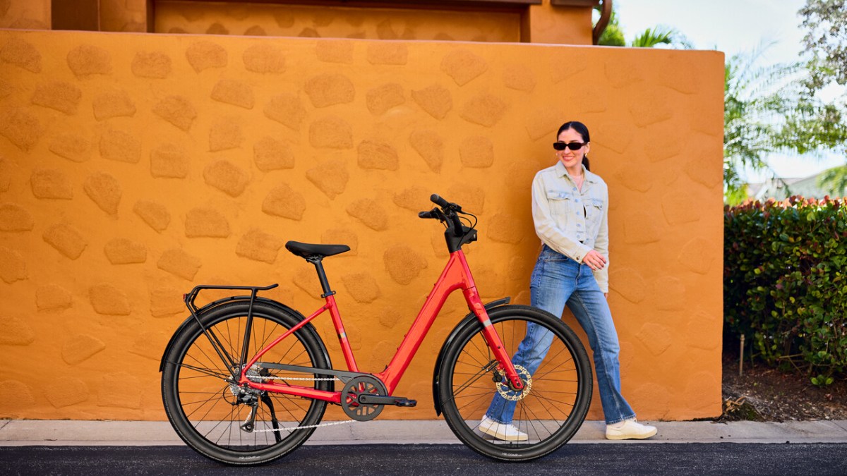 Trek Verve VAE