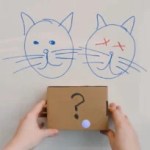 Project Astra reconnait l'expérience de pensée du chat de Schrodinger // Source : Google