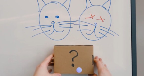 Project Astra reconnait l'expérience de pensée du chat de Schrodinger // Source : Google