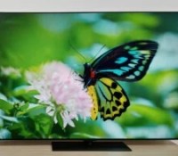 LG OLED65G4