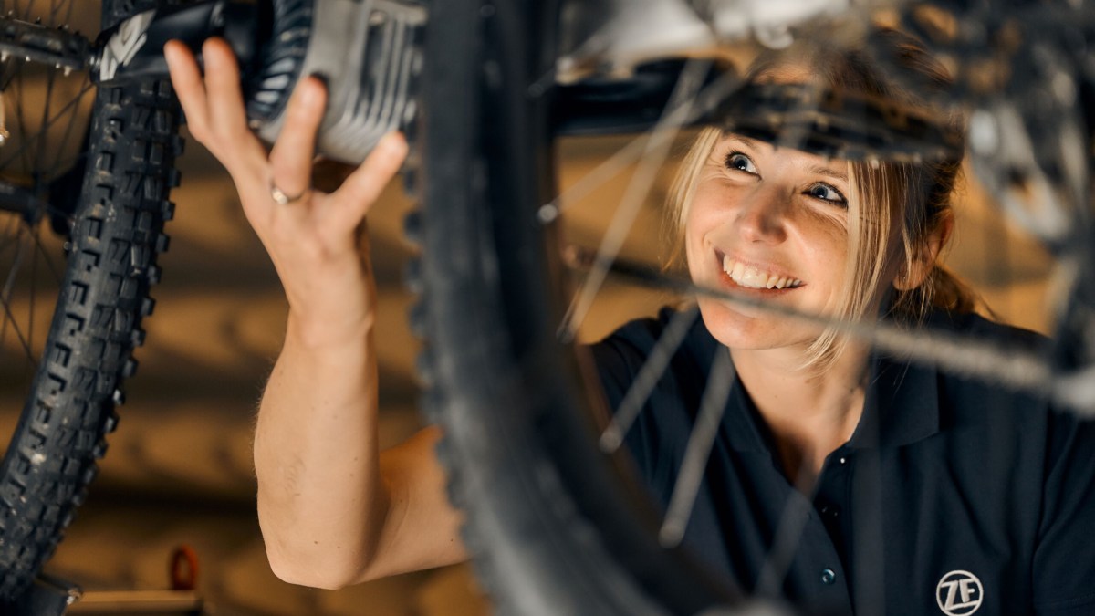 Moteur batterie vélo ZF Bike Eco System