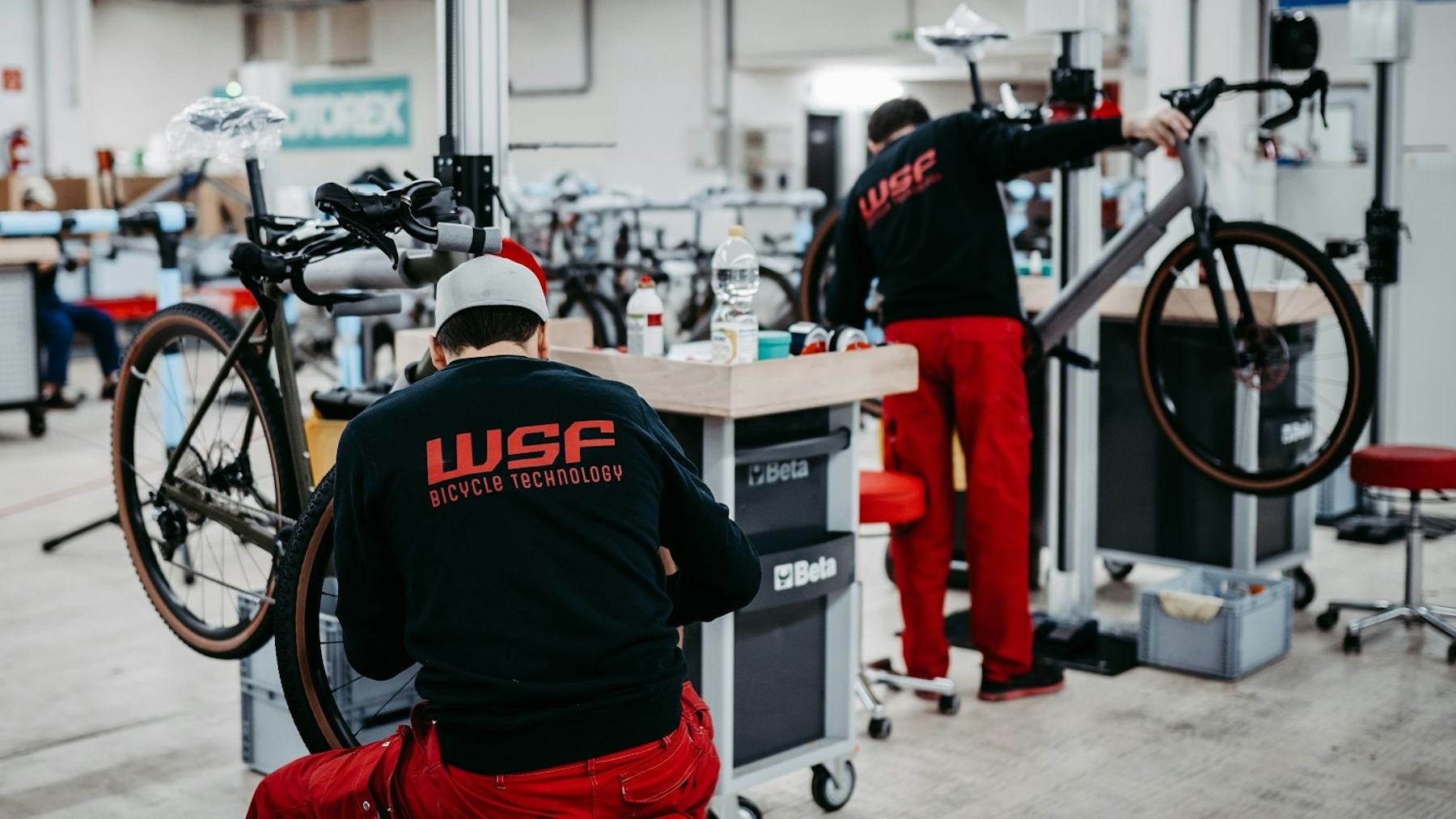 WSF Bicycle Technology