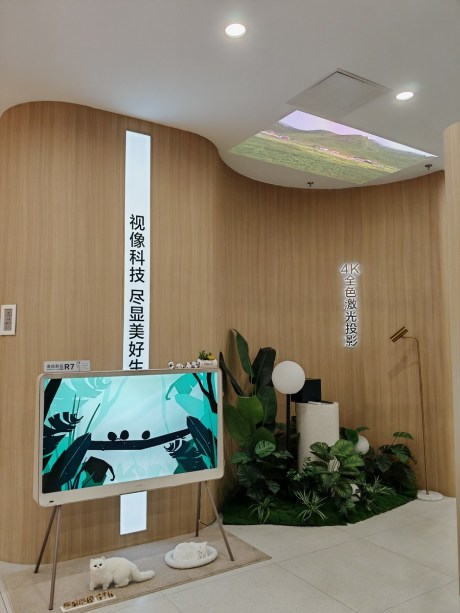 Hisense_musee_boutiques_partie1_17