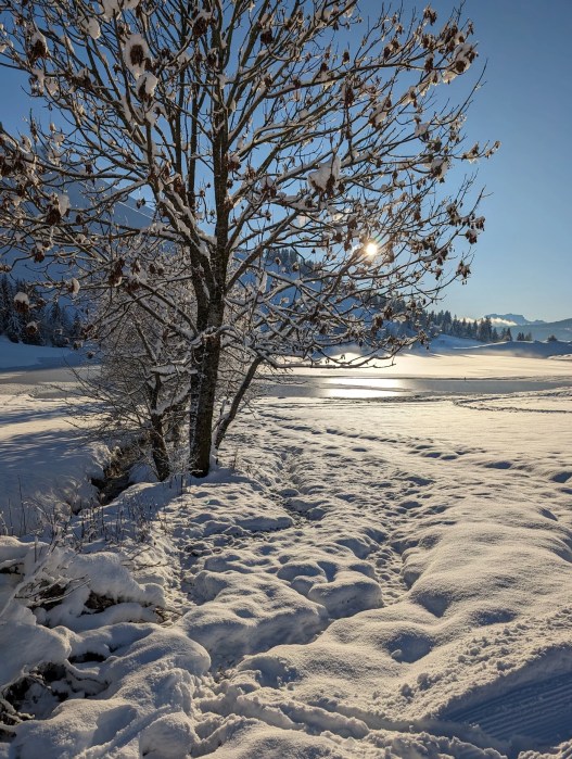 Pixel 8 : l'hiver en Haute-Savoie