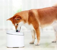 Xiaomi Smart Pet Fountain
