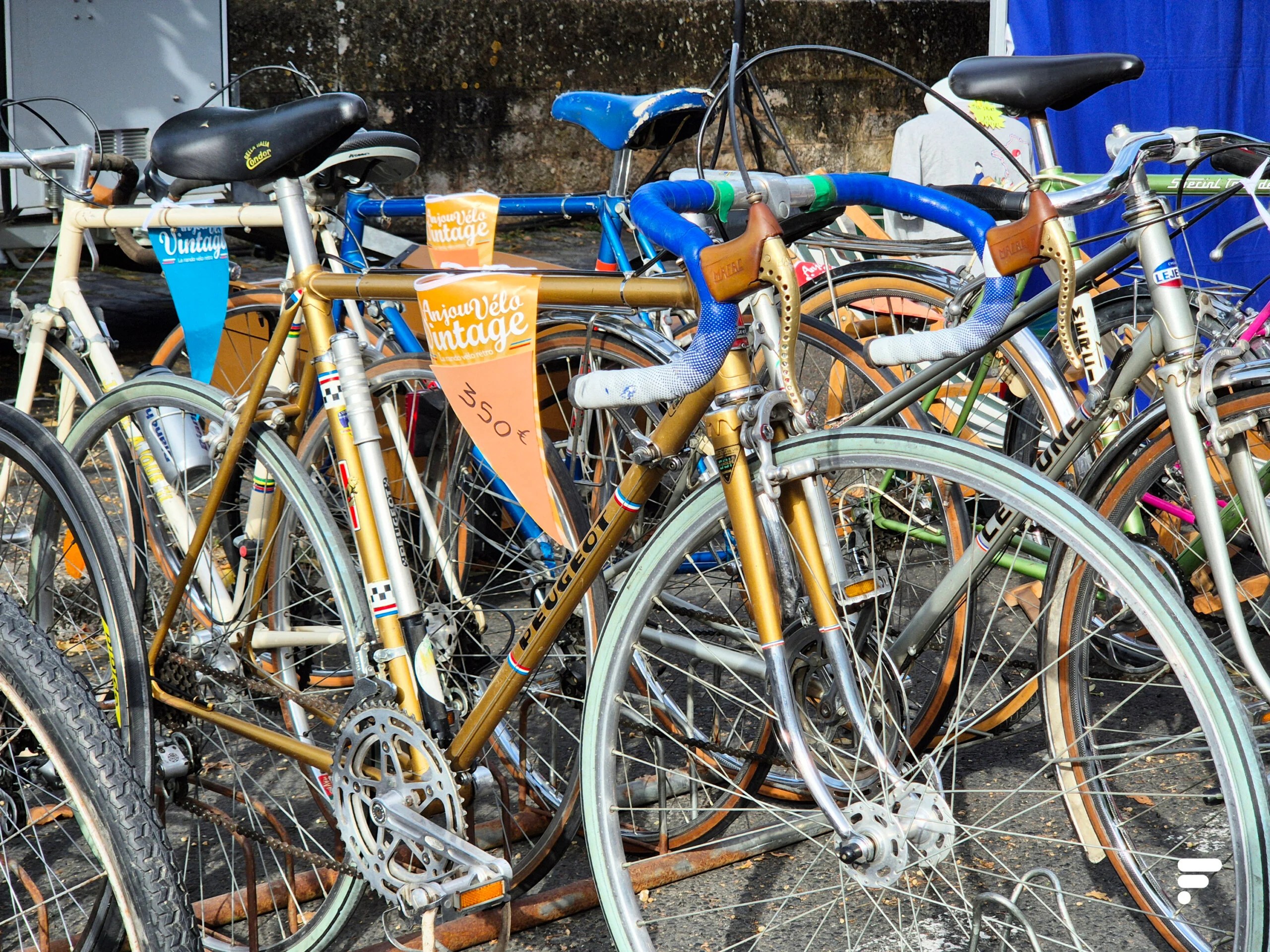 Anjou Vélo Vintag