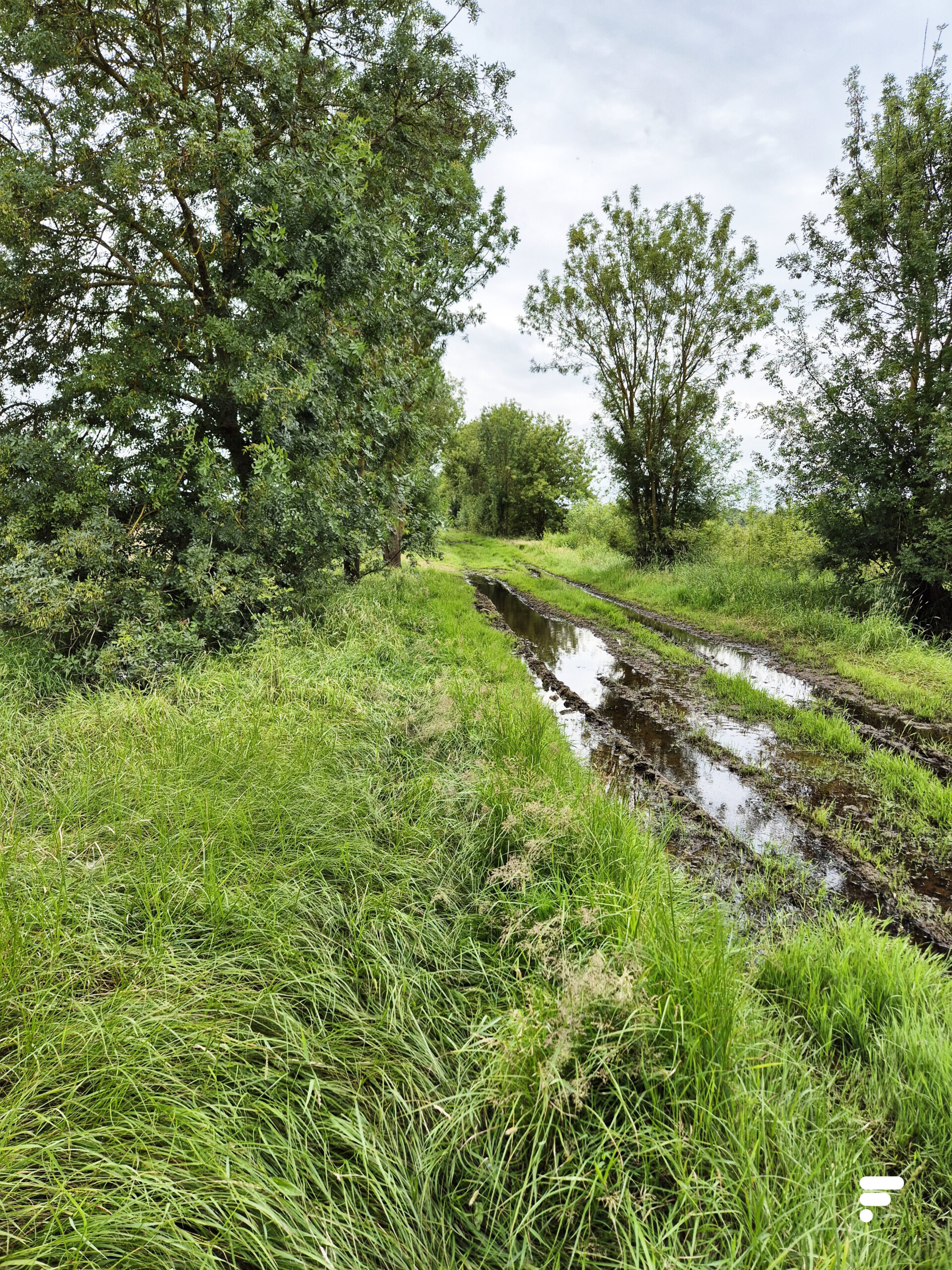 La Loire à Vélo