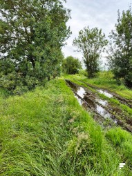 Loire à Vélo