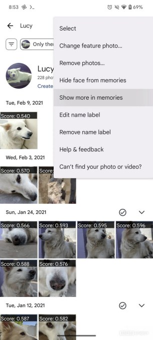 Capture d'écran de la fonctionnalité "Afficher plus" sur Google Photos