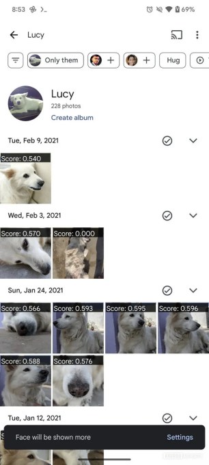 Capture d'écran de la fonctionnalité "Afficher plus" sur Google Photos