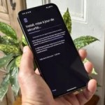 Mise à jour de septembre 2024 d'Android 14 sur le Pixel 9 Pro XL